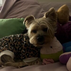 Meet your Posher, Filbert